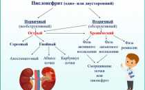 Можно ли определить воспаление почек на узи что это такое