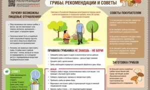 Про первую помощь при отравлении грибами