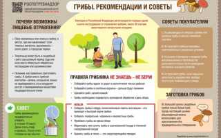Про первую помощь при отравлении грибами