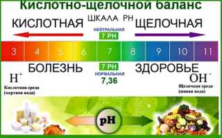 Кислотно-щелочной баланс или как поддержать свое здоровье