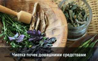 Очищение почек в домашних условиях — 7 простых способов