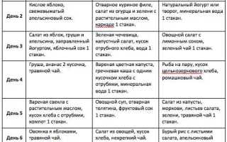 Бесшлаковая диета перед колоноскопией: меню на 3 дня и список продуктов