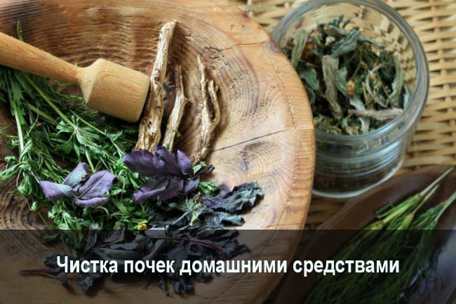 Чистка почек домашними средствами