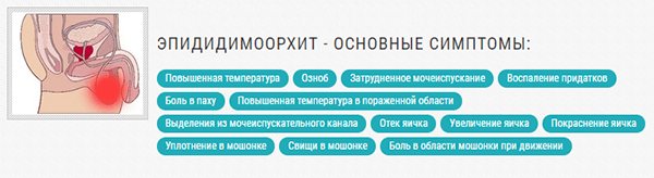 Симптомы эпидидимоорхита