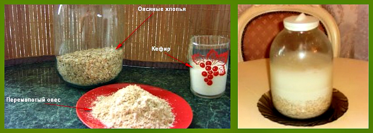 brozhenie-ovsyanoj-kisel-izotova