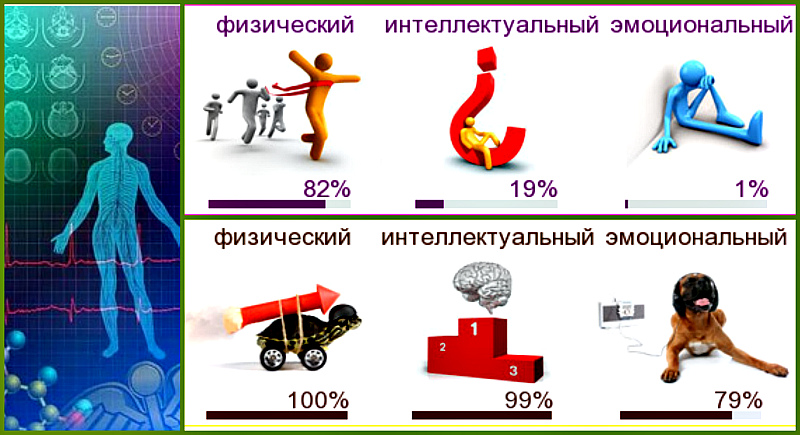 fizich-intnlekt-emotsion