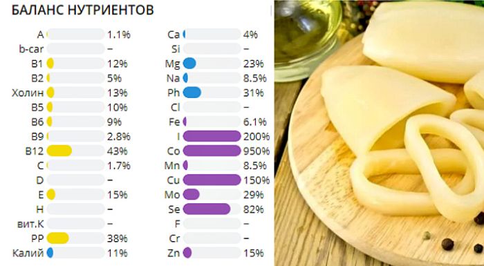 Кальмары - польза и вред для организма