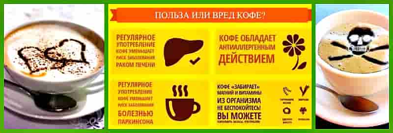 польза и вред