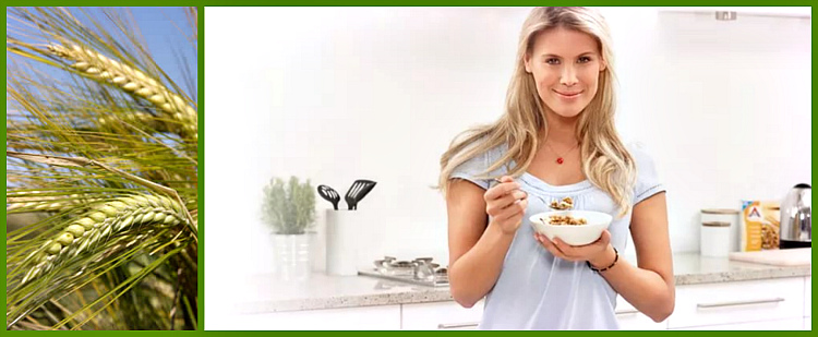 польза ячменя