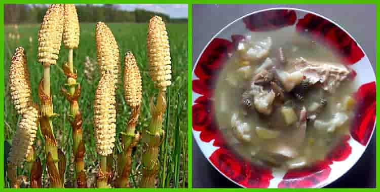 суп из курицы