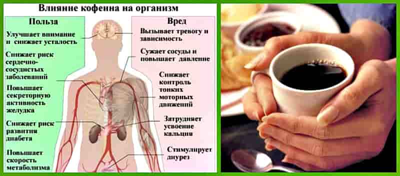 влияние на организм