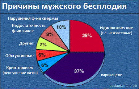 Причины мужского бесплодия