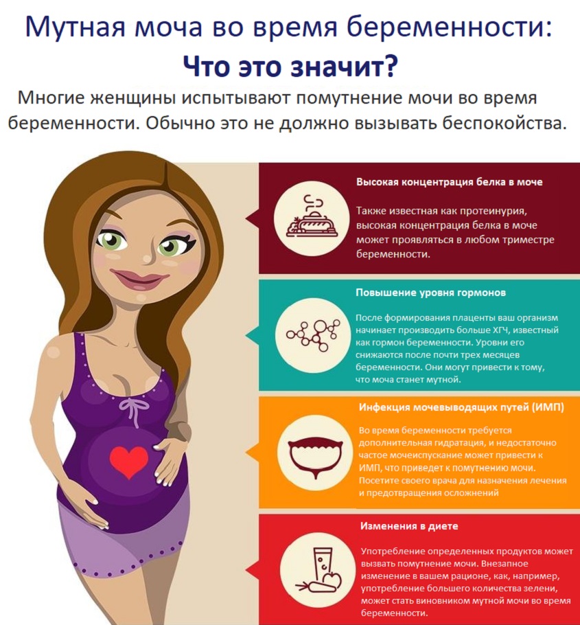 Причины мутной мочи при беременности
